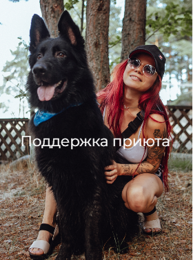 Заголовок