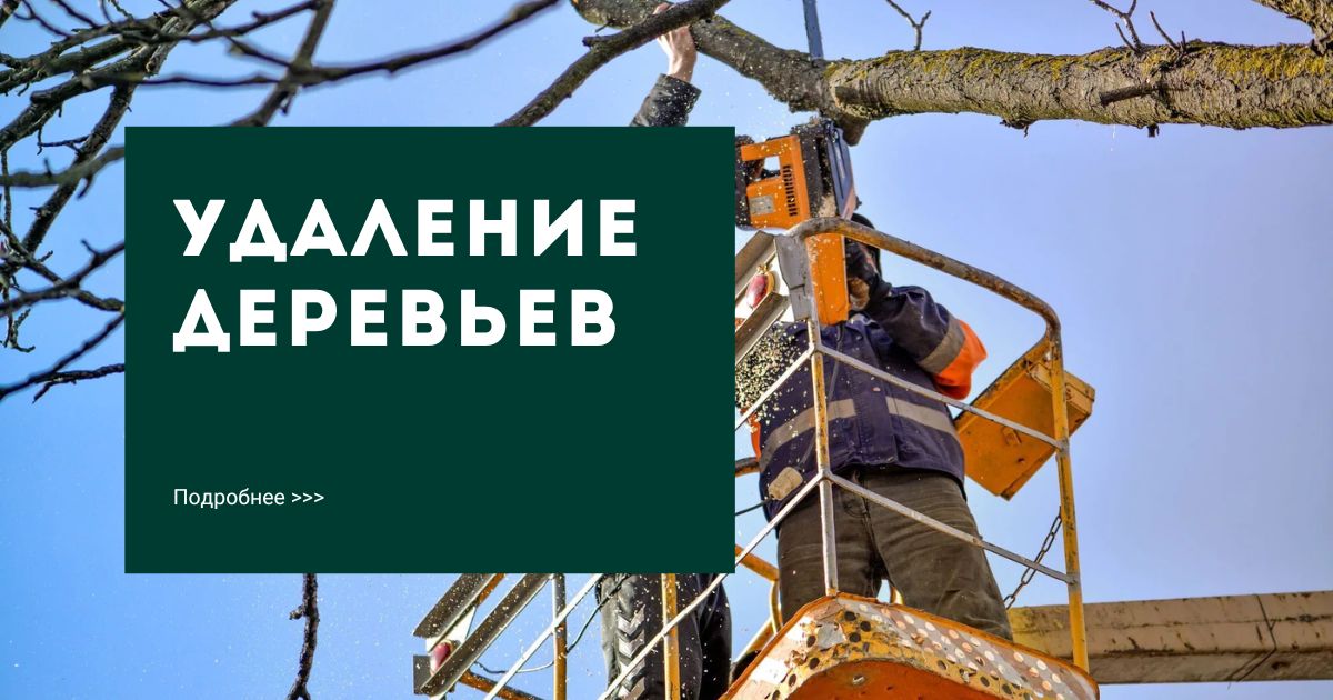 Заголовок